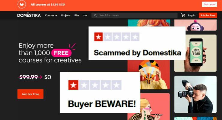 Domestika Customers Say They Were Scammed